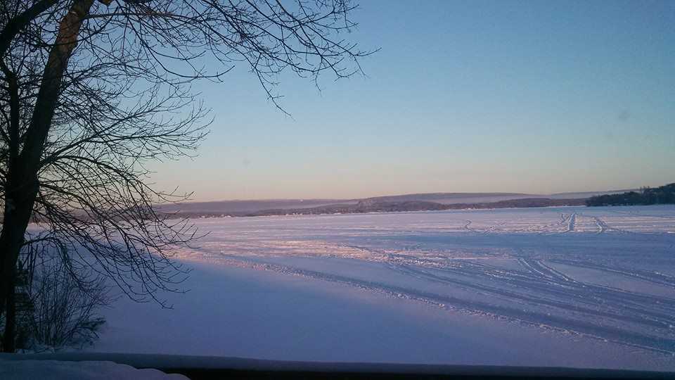 Winter Sled Tracks 